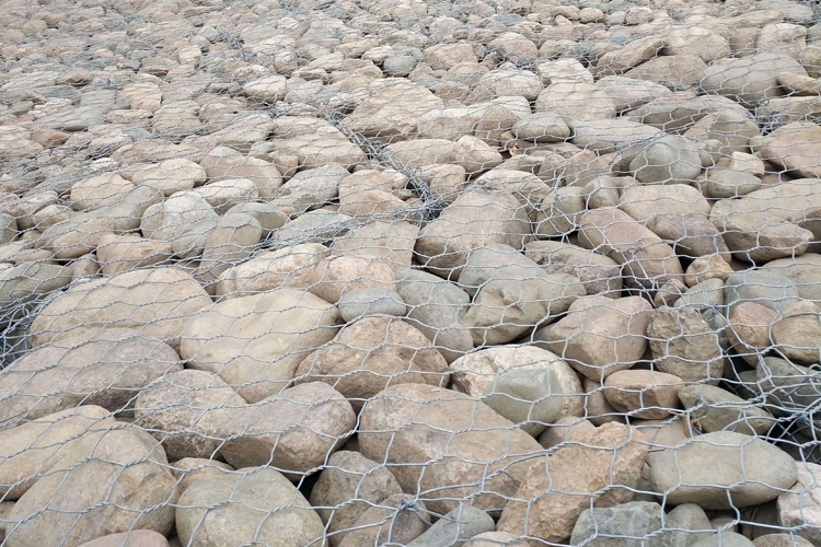 雷諾護墊圖片3 雷諾護墊圖片3