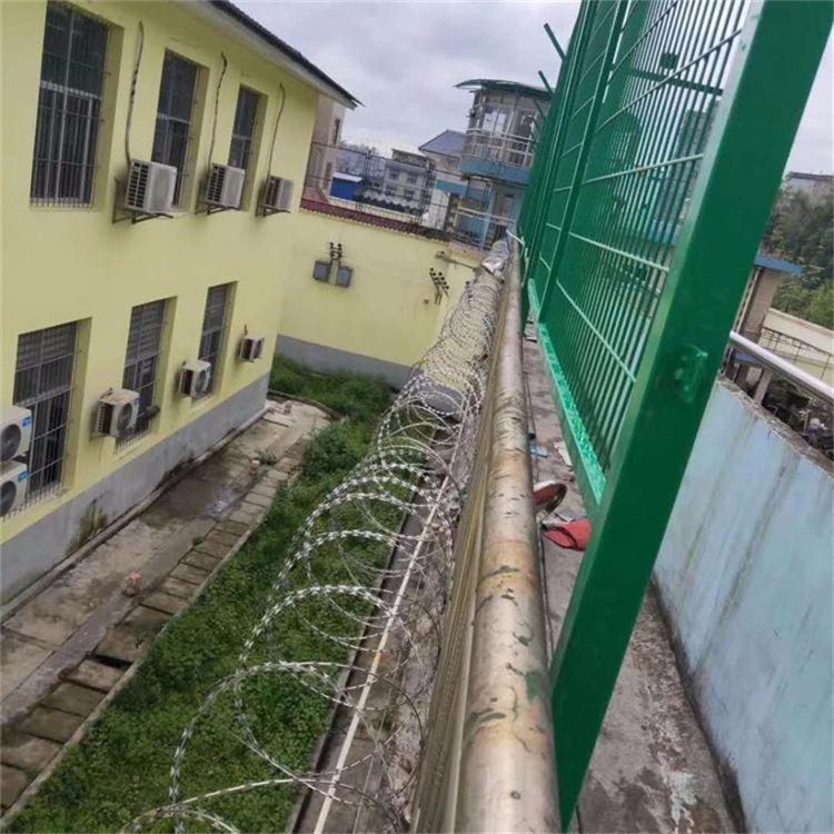 600mm不銹鋼刀刺網圖片4 600mm不銹鋼刀刺網圖片4