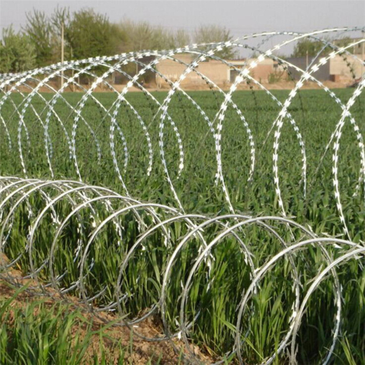 圍墻防爬刺網(wǎng)圖片4 圍墻防爬刺網(wǎng)圖片4