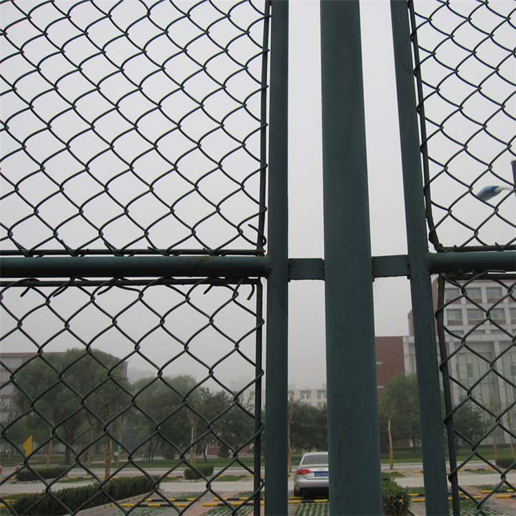 體育場(chǎng)防護(hù)網(wǎng)圖片3 體育場(chǎng)防護(hù)網(wǎng)圖片3