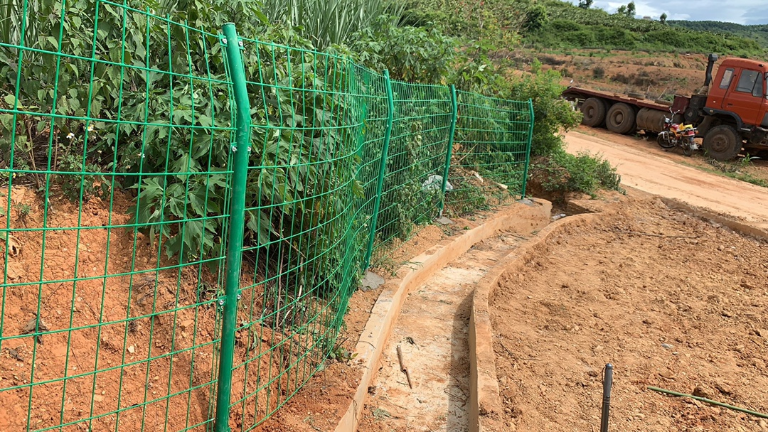 風景區綠化防護網圖片4 風景區綠化防護網圖片4