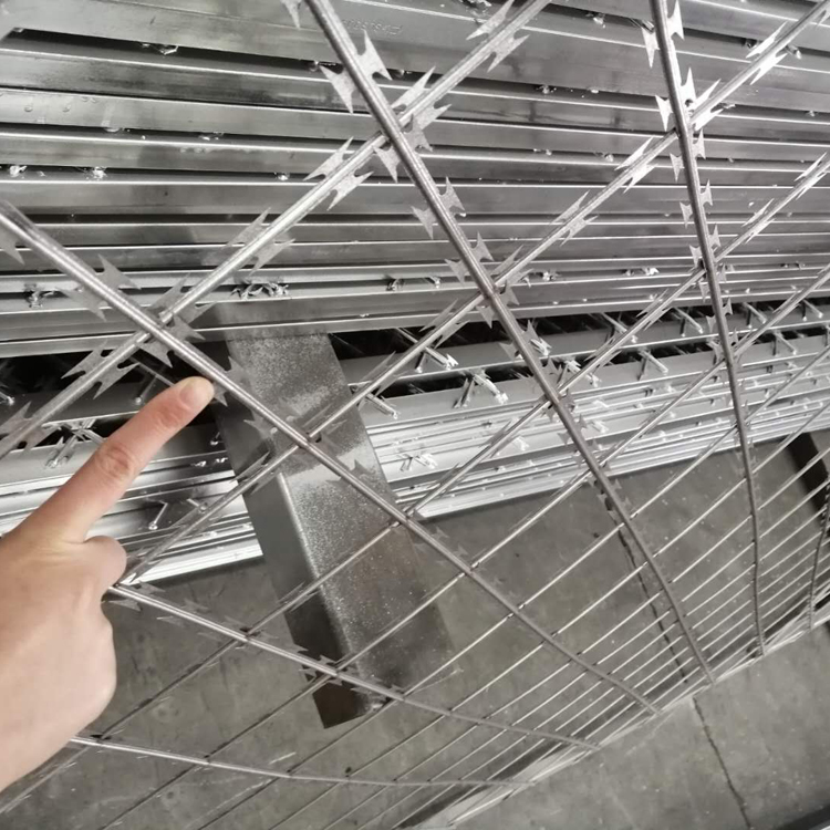 監(jiān)獄金屬隔離網(wǎng)圖片2 監(jiān)獄金屬隔離網(wǎng)圖片2