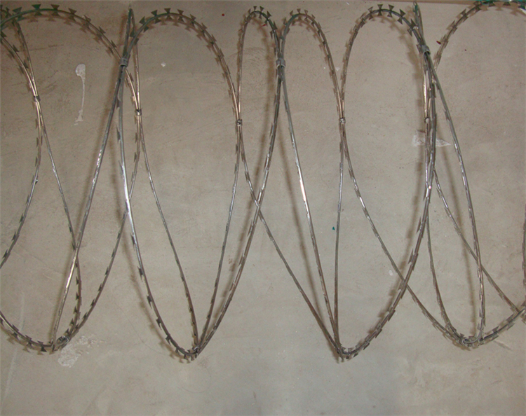 刀片刺網?圖片3