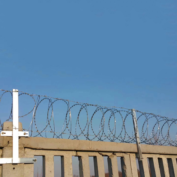 螺旋形刀刺網(wǎng)圖片4 螺旋形刀刺網(wǎng)圖片4