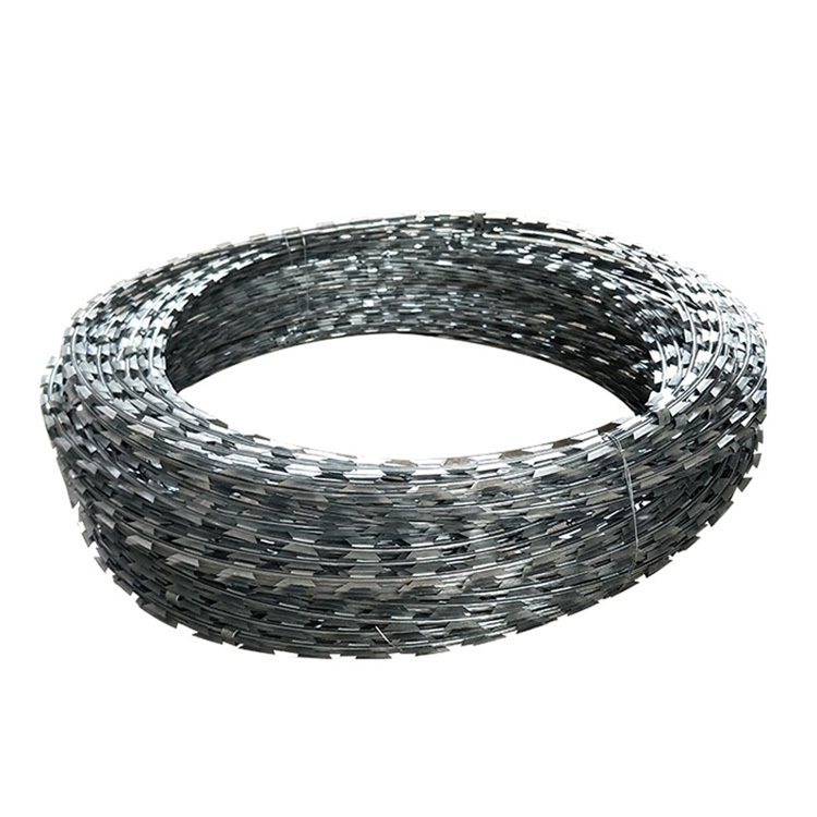 刺絲滾籠圖片4 刺絲滾籠圖片4