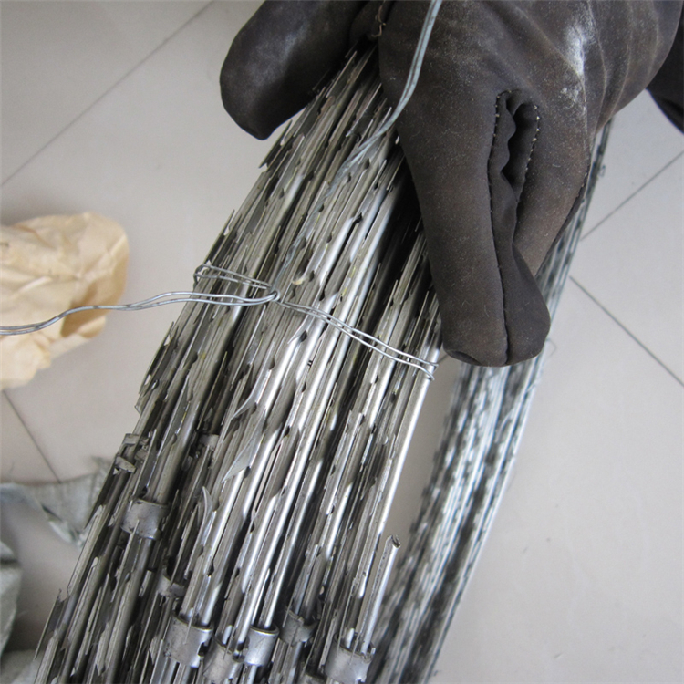 廣東防爬刀刺網圖片4 廣東防爬刀刺網圖片4