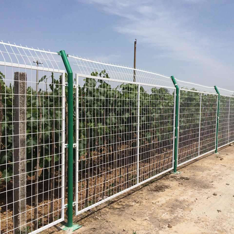 江蘇種植養殖基地護欄隔離網圖片3 江蘇種植養殖基地護欄隔離網圖片3