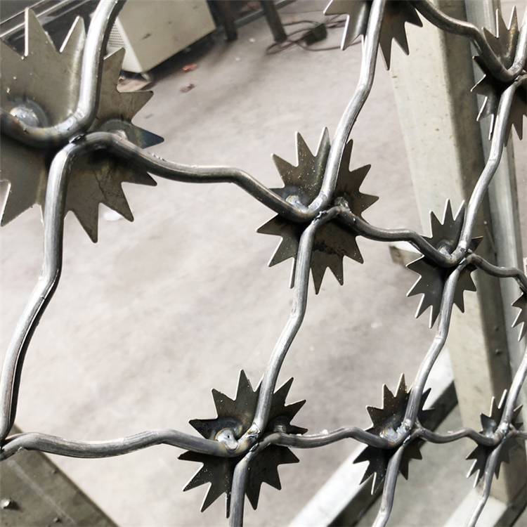 福建監獄梅花刺片隔離鋼網墻圖片3 福建監獄梅花刺片隔離鋼網墻圖片3