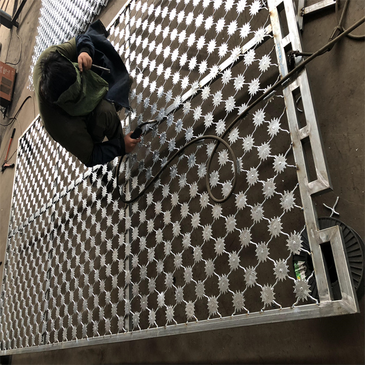 監獄熱鍍鋅梅花刺片隔離網生產安裝圖片1 監獄熱鍍鋅梅花刺片隔離網生產安裝圖片1