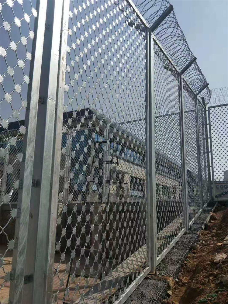 監獄熱鍍鋅梅花刺片隔離網生產安裝圖片2 監獄熱鍍鋅梅花刺片隔離網生產安裝圖片2