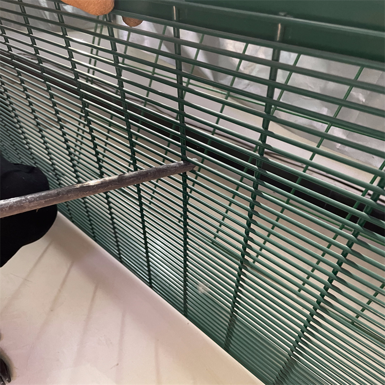 358密紋護欄網(wǎng)應用圖片4 358密紋護欄網(wǎng)應用圖片4