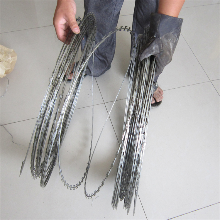 熱鍍鋅不銹鋼刀片刺網型號推薦圖片8 熱鍍鋅不銹鋼刀片刺網型號推薦圖片8